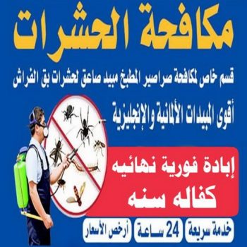 مكافحة حشرات - شركة تنظيف 51682008 - شركة مكافحة حشرات - مكافحة حشرات وقوارض - مكافحة بق - رش صراصير - مكافحة نمل - شركة حشرات - مكافحة فئران