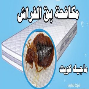 مكافحة حشرات الجهراء - شركة تنظيف 51682008 - شركة مكافحة حشرات - مكافحة حشرات وقوارض - مكافحة بق - رش صراصير - مكافحة نمل - شركة حشرات - مكافحة فئران 15 مكافحة بق مكافحة حشرات الجهراء - شركة تنظيف 51682008 - شركة مكافحة حشرات - مكافحة حشرات وقوارض - مكافحة بق - رش صراصير - مكافحة نمل - شركة حشرات - مكافحة فئران