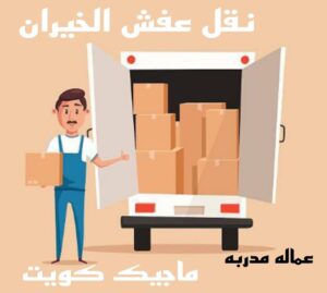 نقل عفش الاحمدي - نقل اثاث الاحمدي - ابو محمد 67744982 - رقم نقل عفش الاحمدي - نقل عفش الاحمدي رخيص - هاف لوري الاحمدي - وانيت نقل عفش الاحمدي 18 نقل عفش الخيران نقل عفش الاحمدي - نقل اثاث الاحمدي - ابو محمد 67744982 - رقم نقل عفش الاحمدي - نقل عفش الاحمدي رخيص - هاف لوري الاحمدي - وانيت نقل عفش الاحمدي