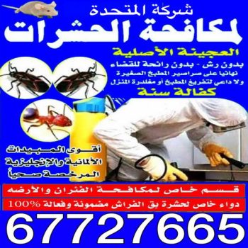 رش حشرات - مكافحة حشرات - شركة مكافحة حشرات - المتحدة 67727665 - شركة حشرات - مكافحة بق - رش صراصير - مكافحة قوارض - مكافحة فئران - مكافحة حشرات وقوارض